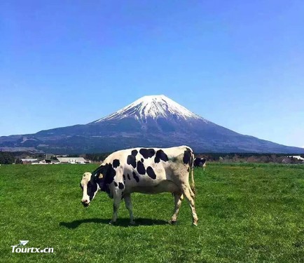 日本东京+富士山半自由行温泉美食六日游