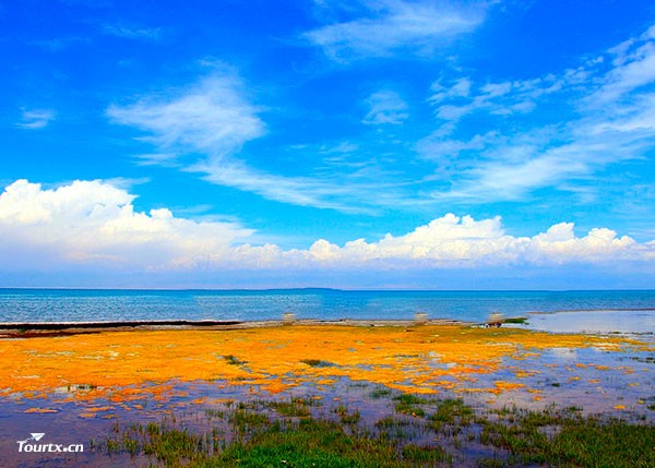青海湖.jpg